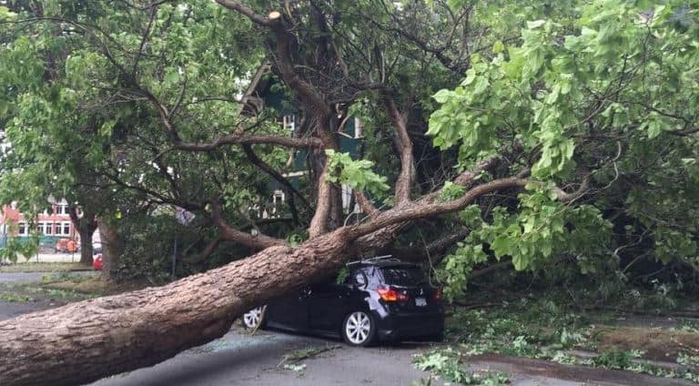 Windstorm car emergency