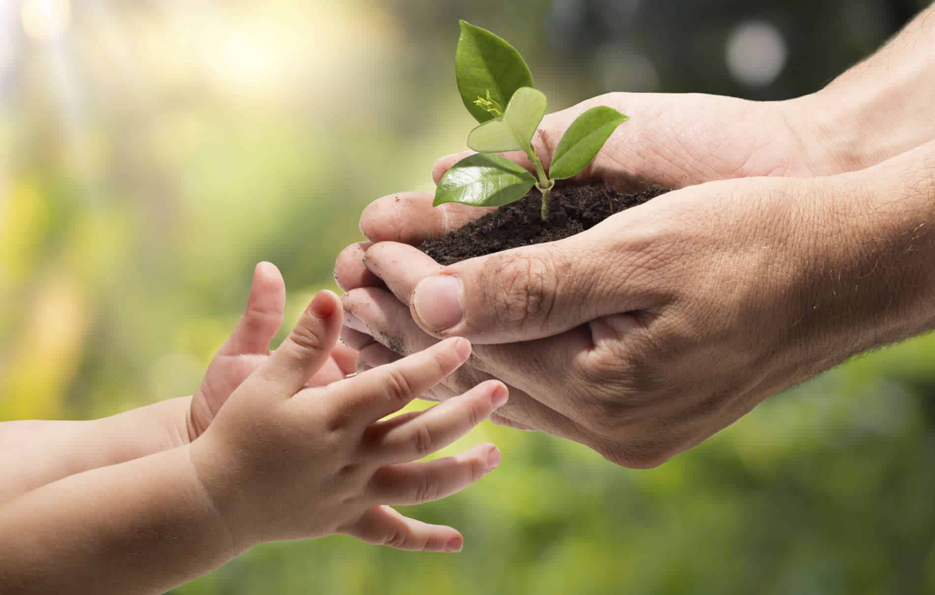 Plant-hands