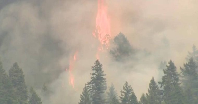 Sharpen Your Knives & Support the British Columbia Fires Appeal
