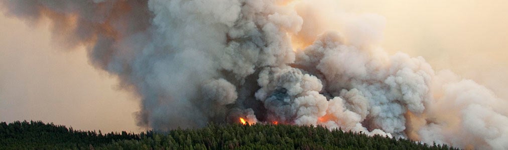 Support the British Columbia Fires Appeal